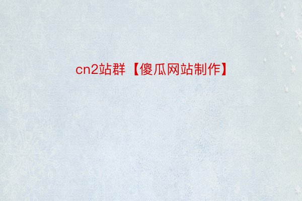 cn2站群【傻瓜网站制作】