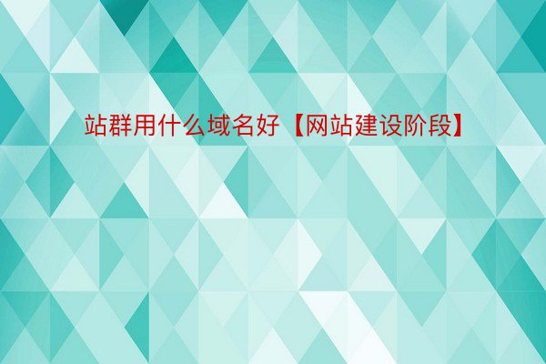 站群用什么域名好【网站建设阶段】