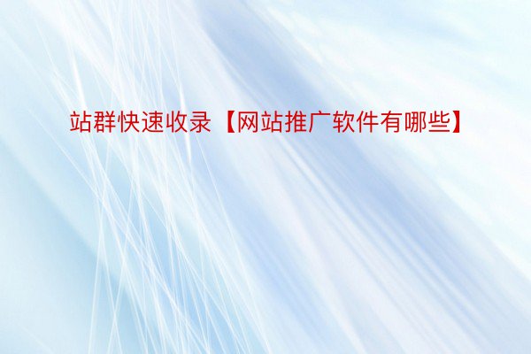 站群快速收录【网站推广软件有哪些】