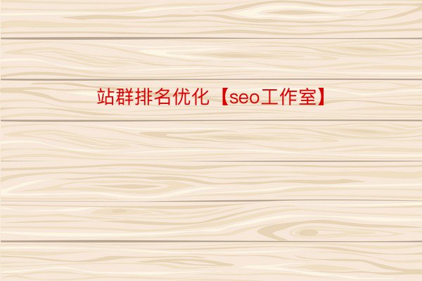 站群排名优化【seo工作室】