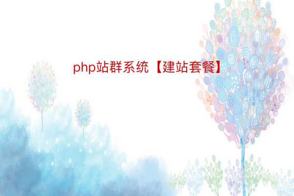 php站群系统【建站套餐】