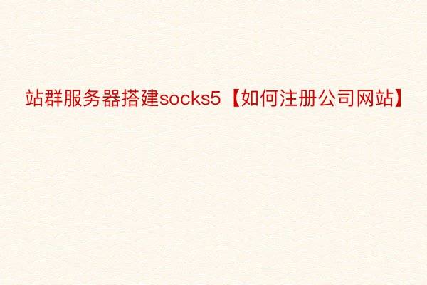 站群服务器搭建socks5【如何注册公司网站】