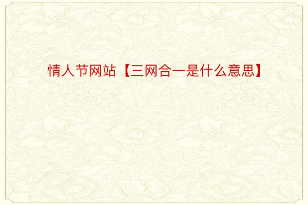 情人节网站【三网合一是什么意思】