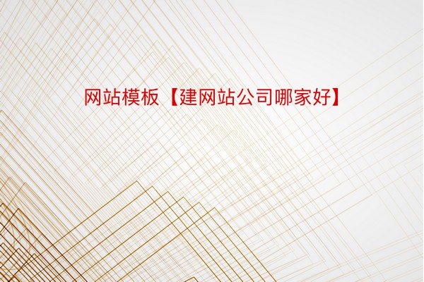 网站模板【建网站公司哪家好】